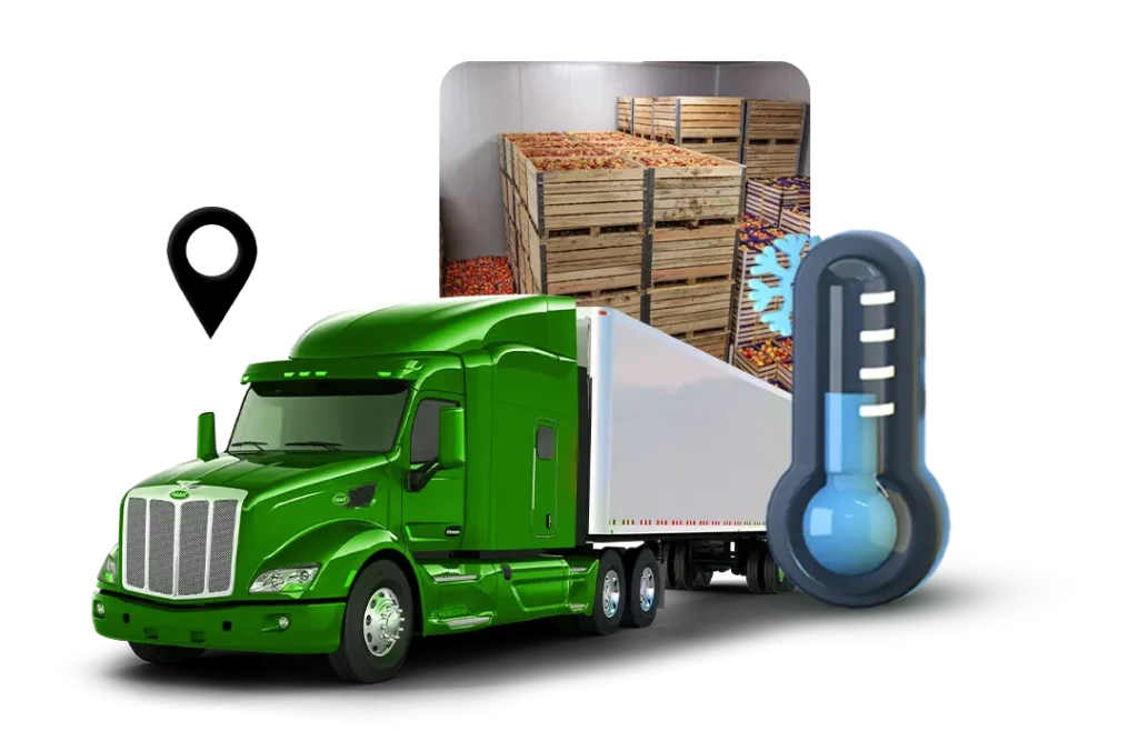monitor cold chain assets